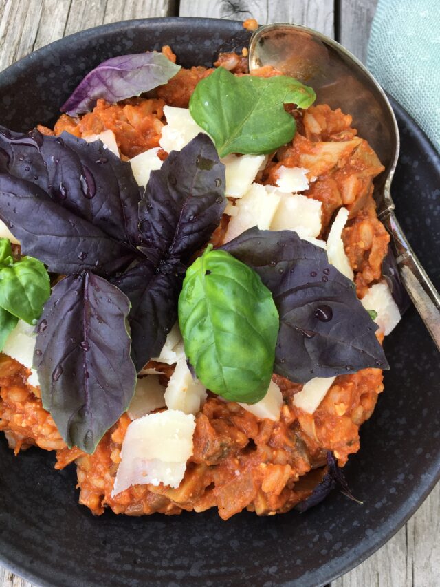 Wannabe kødsovs med god umamismag